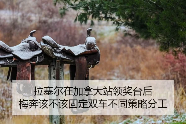 拉塞尔在加拿大站领奖台后 梅奔该不该固定双车不同策略分工