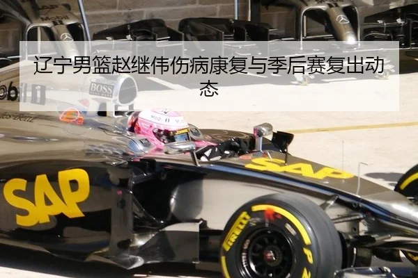 辽宁男篮赵继伟伤病康复与季后赛复出动态